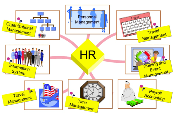 HR Software Assignment Xperts (Pvt) Ltd